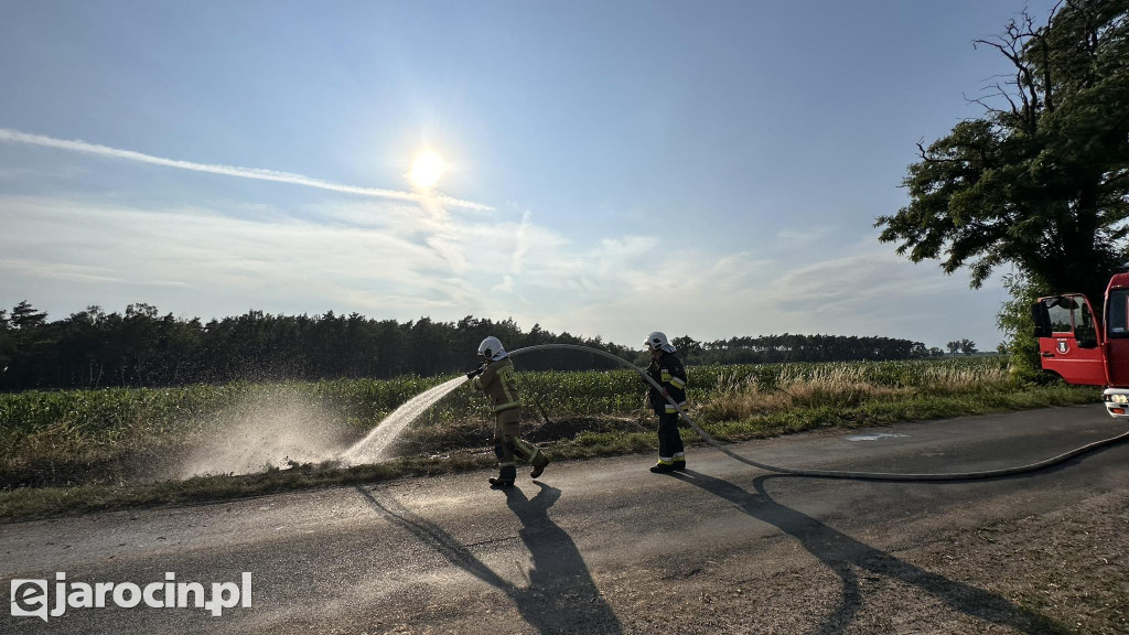 Pożar przy drodze na Radliniec