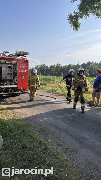 Pożar przy drodze na Radliniec