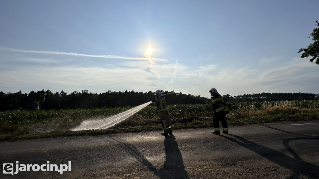 Pożar przy drodze na Radliniec