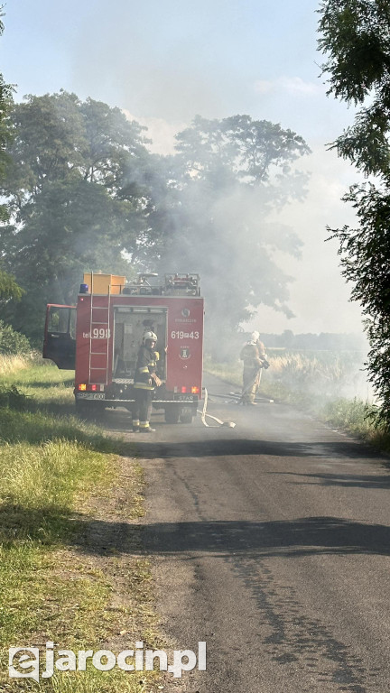 Pożar przy drodze na Radliniec