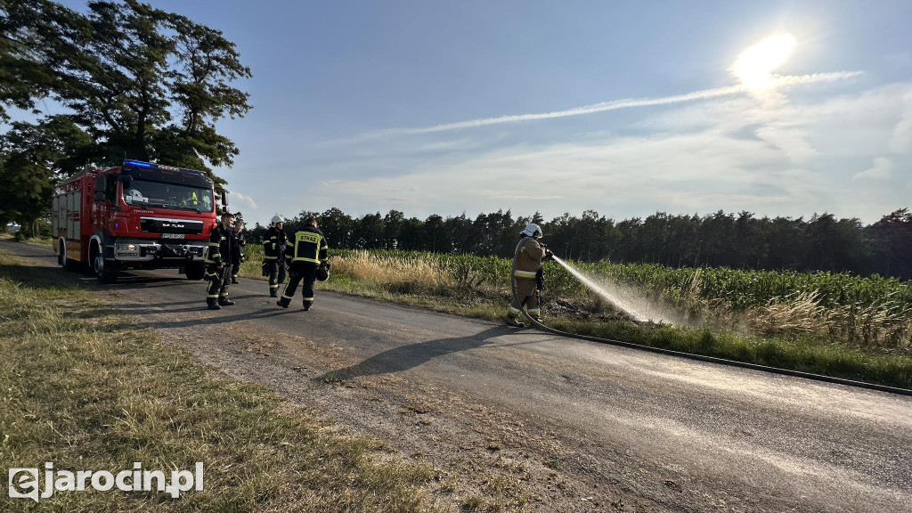 Pożar przy drodze na Radliniec