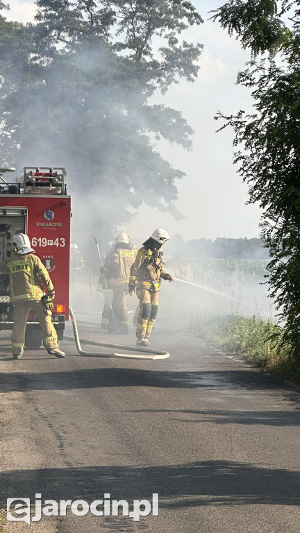 Pożar przy drodze na Radliniec