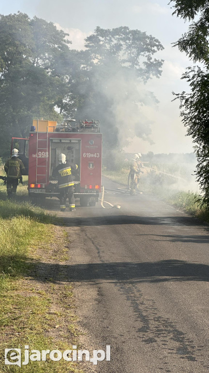 Pożar przy drodze na Radliniec
