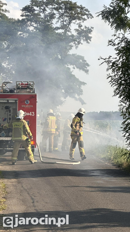 Pożar przy drodze na Radliniec