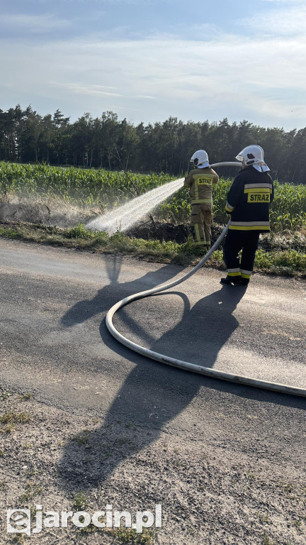 Pożar przy drodze na Radliniec