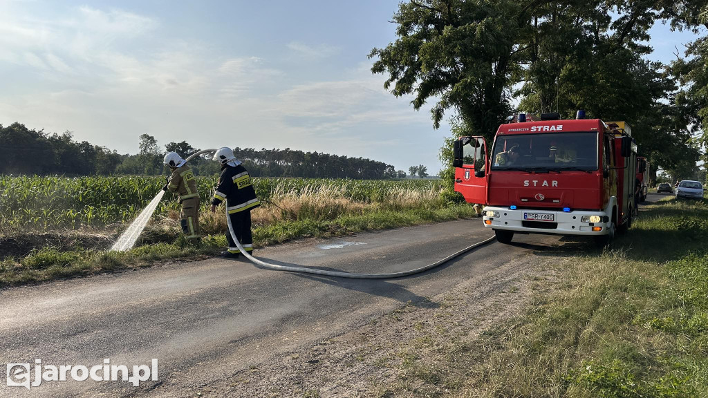 Pożar przy drodze na Radliniec