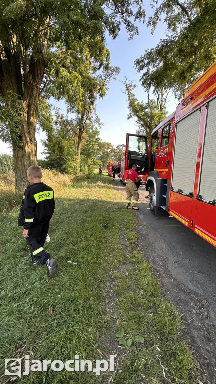 Pożar przy drodze na Radliniec