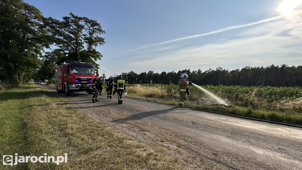 Pożar przy drodze na Radliniec
