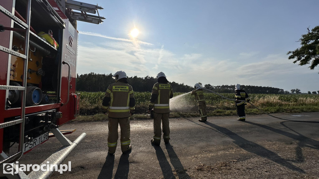 Pożar przy drodze na Radliniec