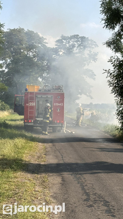 Pożar przy drodze na Radliniec