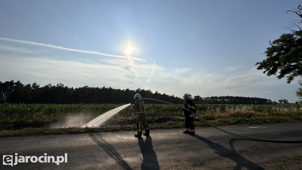 Pożar przy drodze na Radliniec