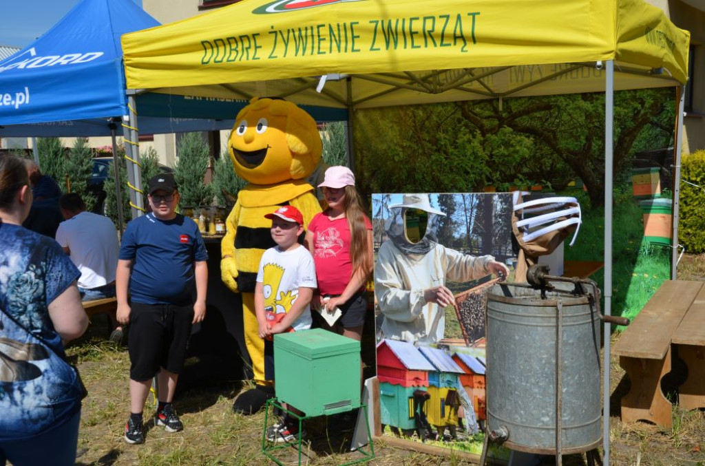 (Nie)zapomniane miasto Mieszków
