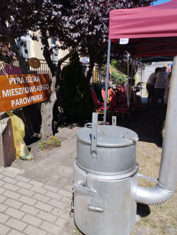(Nie)zapomniane miasto Mieszków