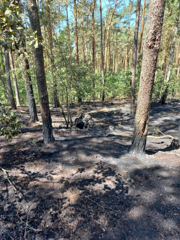 12 strażackich interwencji tylko w dwa dni