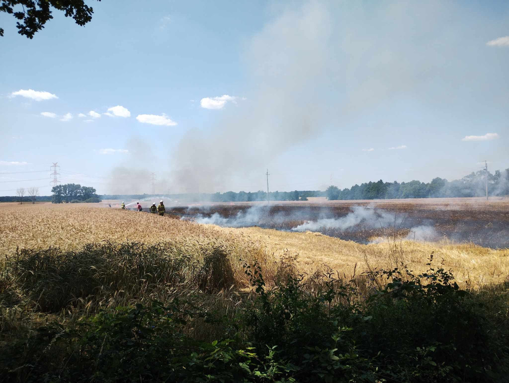 12 strażackich interwencji tylko w dwa dni