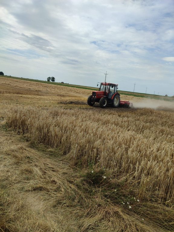 Pożar zboża na pniu w Łobzowcu