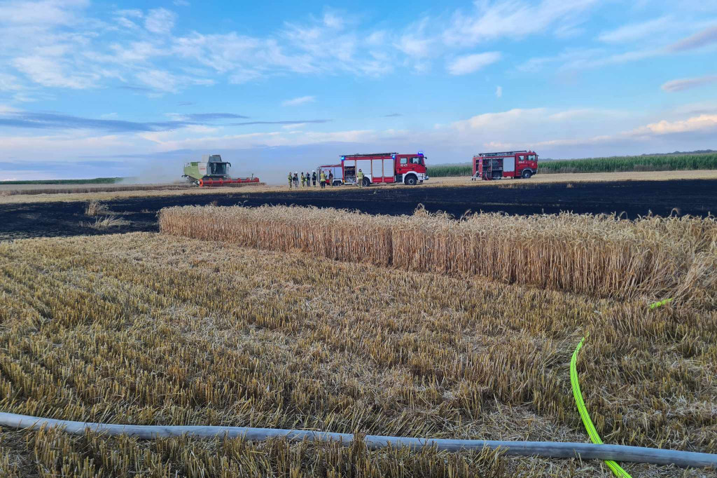 Pożar zboża na pniu i ścierniska w Kotlinie