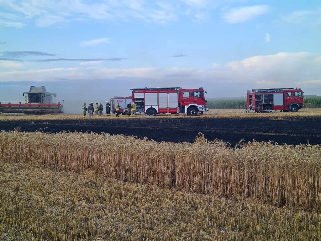 Pożar zboża na pniu i ścierniska w Kotlinie