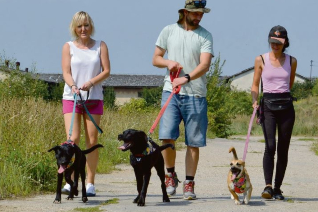 Remont w schronisku dla zwierząt jeszcze w tym roku
