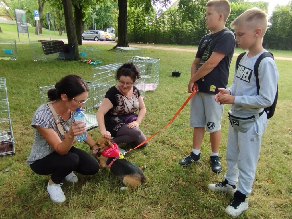 Remont w schronisku dla zwierząt jeszcze w tym roku
