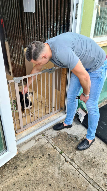 Remont w schronisku dla zwierząt jeszcze w tym roku