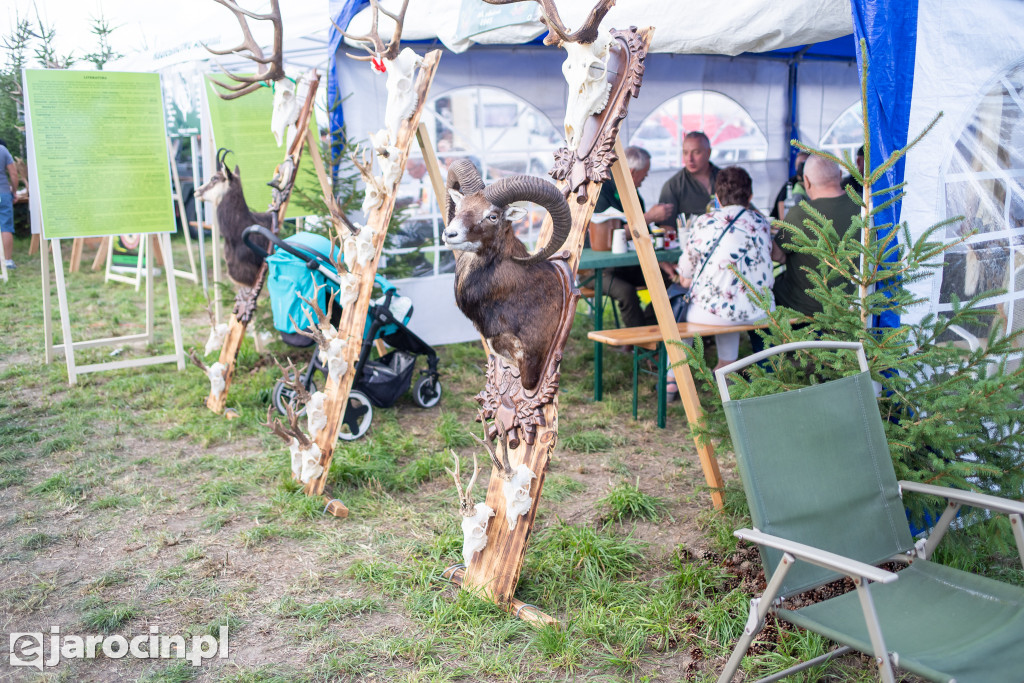 Hubertus Wielkopolski 2023 - dzień drugi