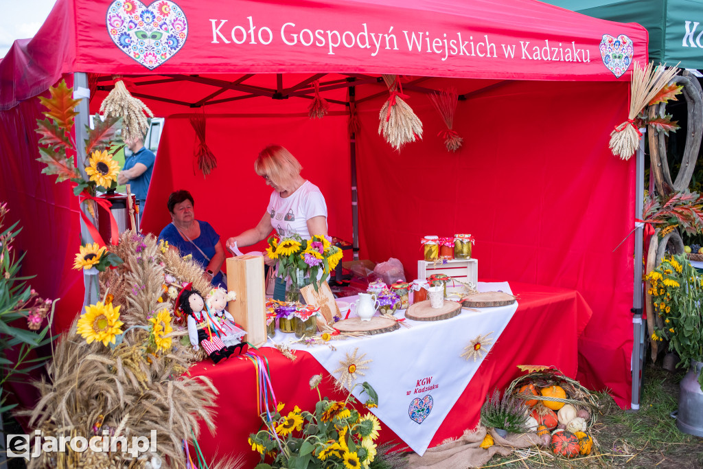 Hubertus Wielkopolski 2023 - dzień drugi