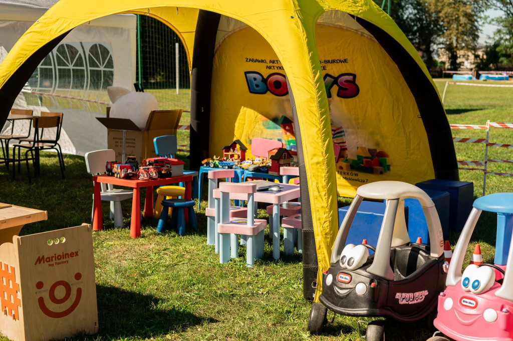 Festyn na pomoc Amelce z Wilkowyi