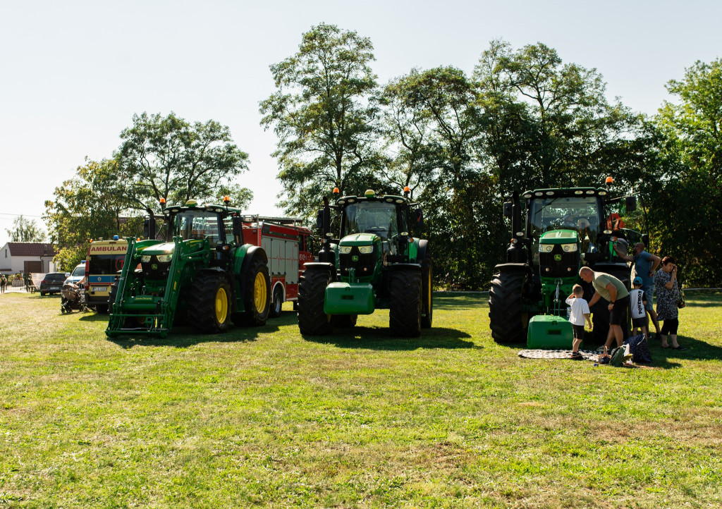 Festyn na pomoc Amelce z Wilkowyi