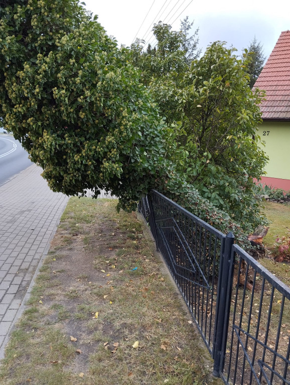 Wichura nad powiatem jarocińskim