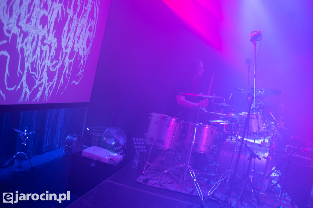 Black Waves Fest vol. 8