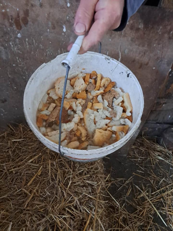 Hodowca zwierząt z zarzutami o znęcanie