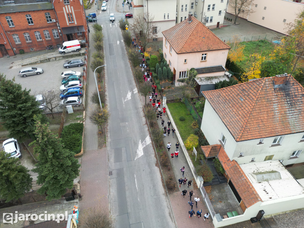 13. Bieg Niepodległościowy