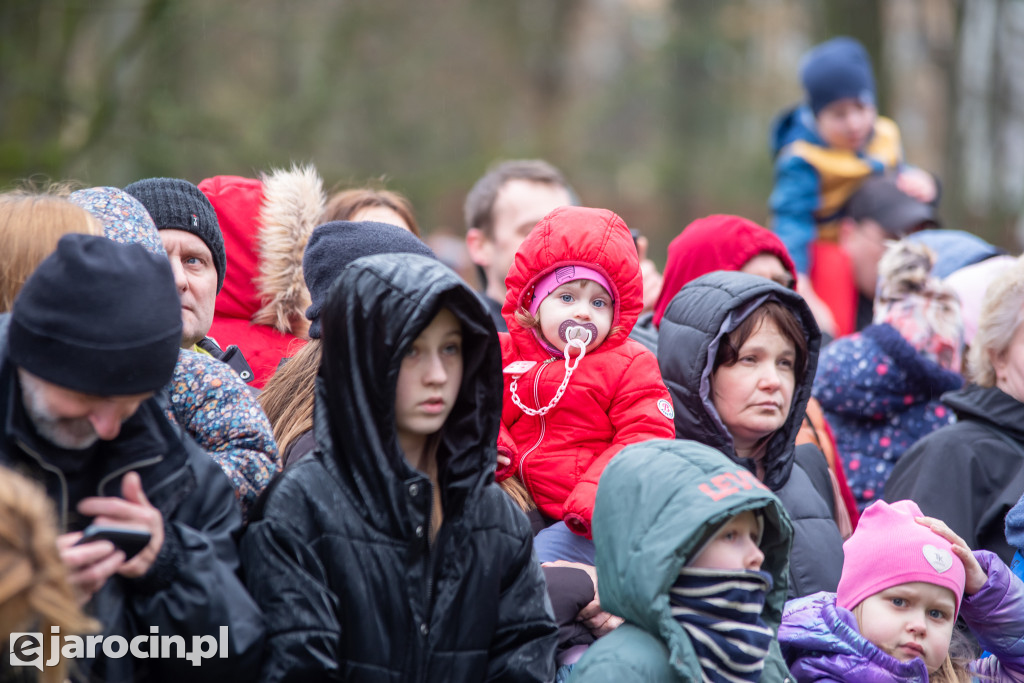 Arka Noego w Parku Radolińskich