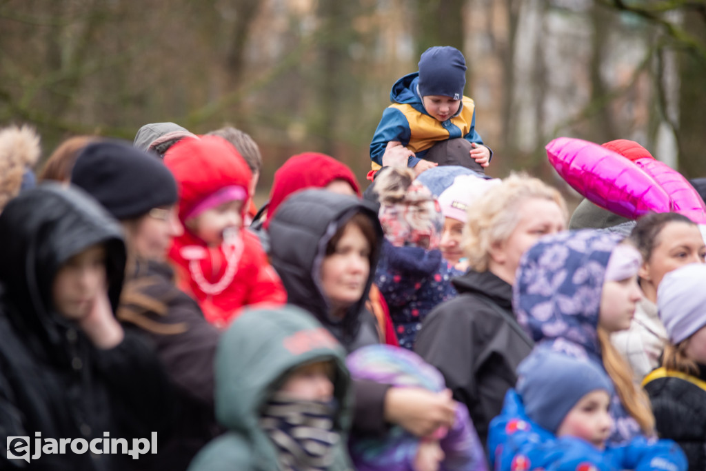 Arka Noego w Parku Radolińskich