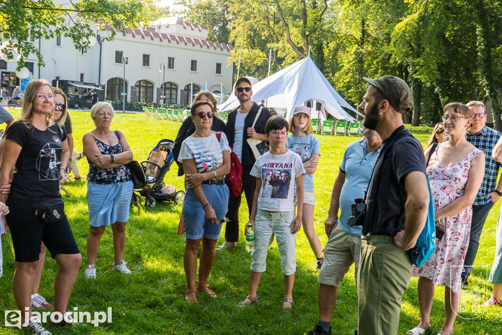 Festiwal 