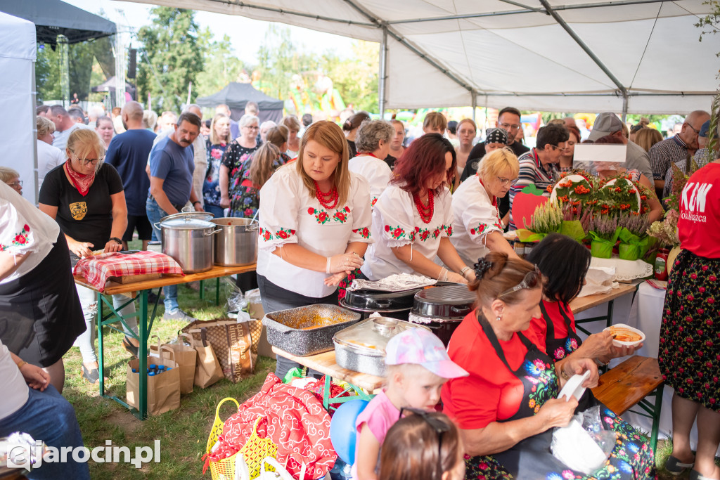 Dzień Kotlina - Święto Pomidora 2024