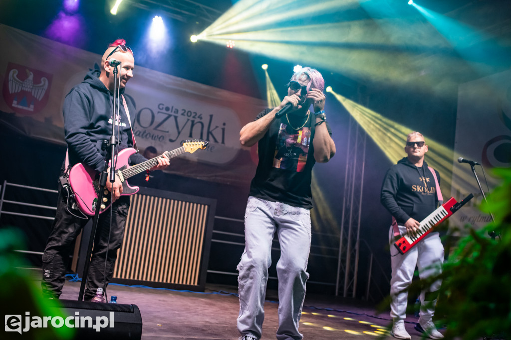 Dożynki powiatowo-gminne w Goli - część 2