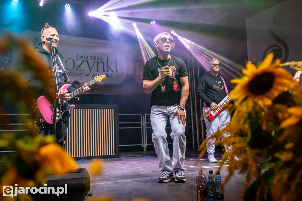 Dożynki powiatowo-gminne w Goli - część 2