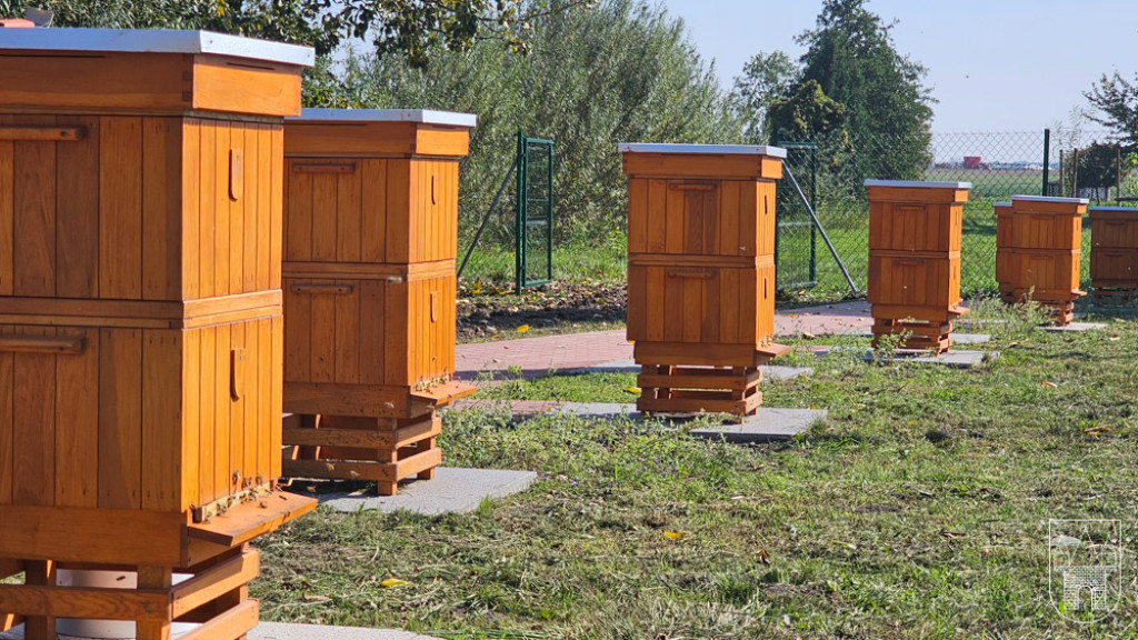 Otwarcie pasieki edukacyjnej w Radlinie