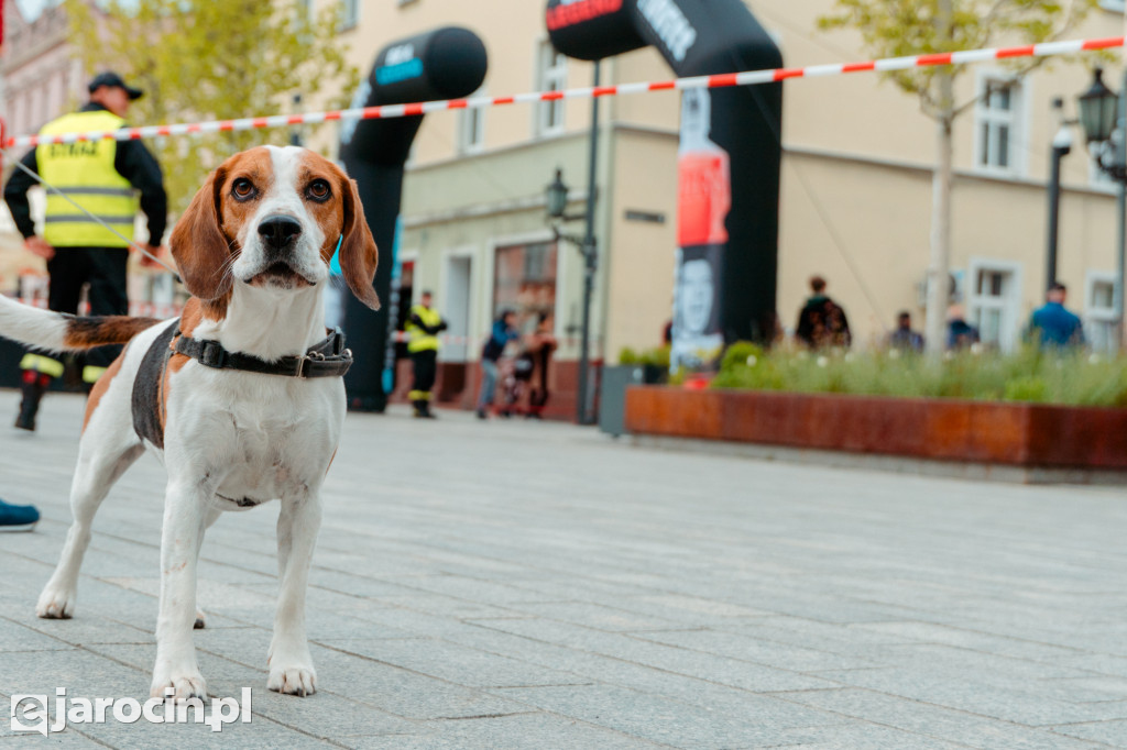 RockRun Jarocin 2025 - bieg na 10 km