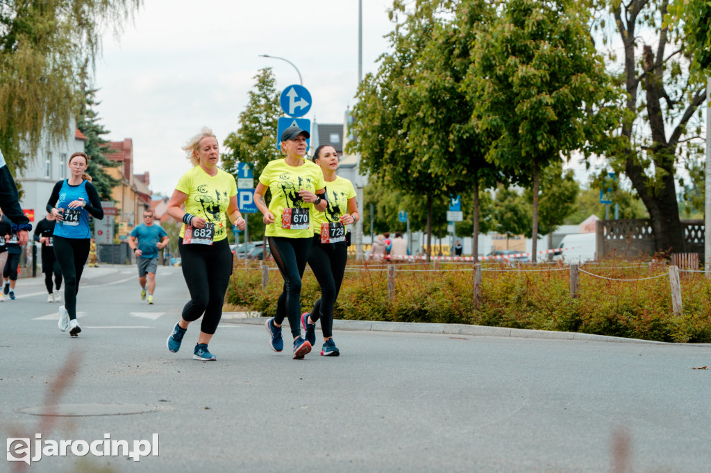 RockRun Jarocin 2025 - bieg na 10 km