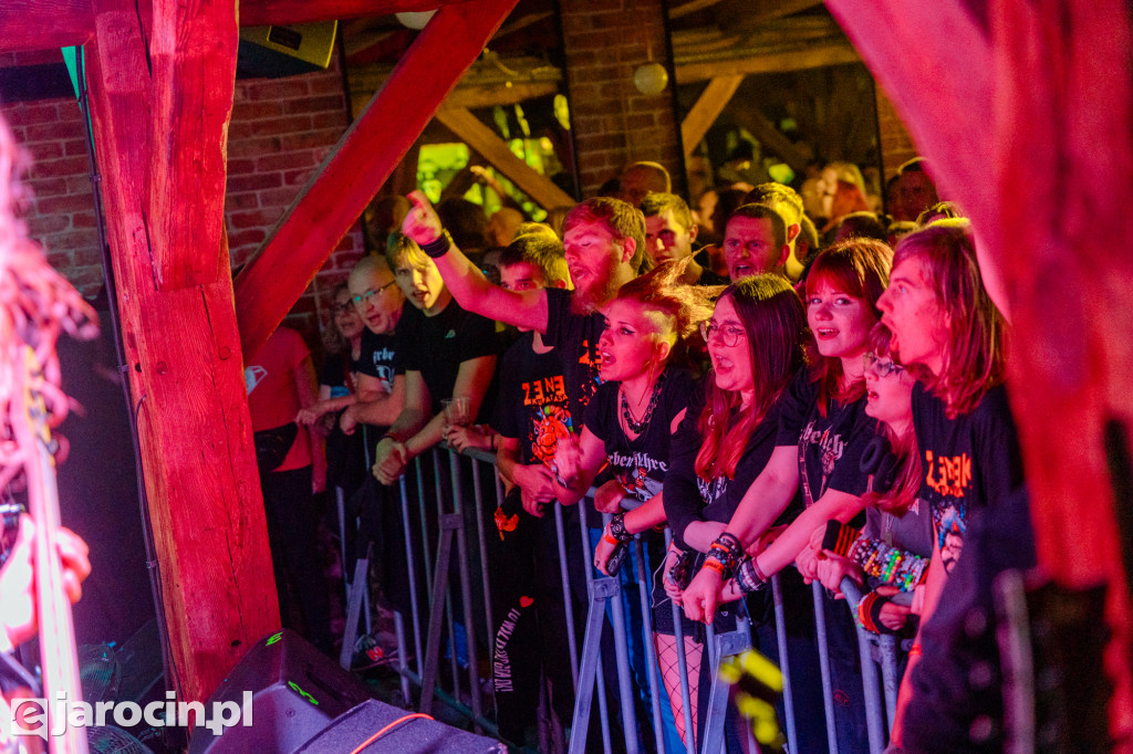 PUNKY REGGAE live 2025