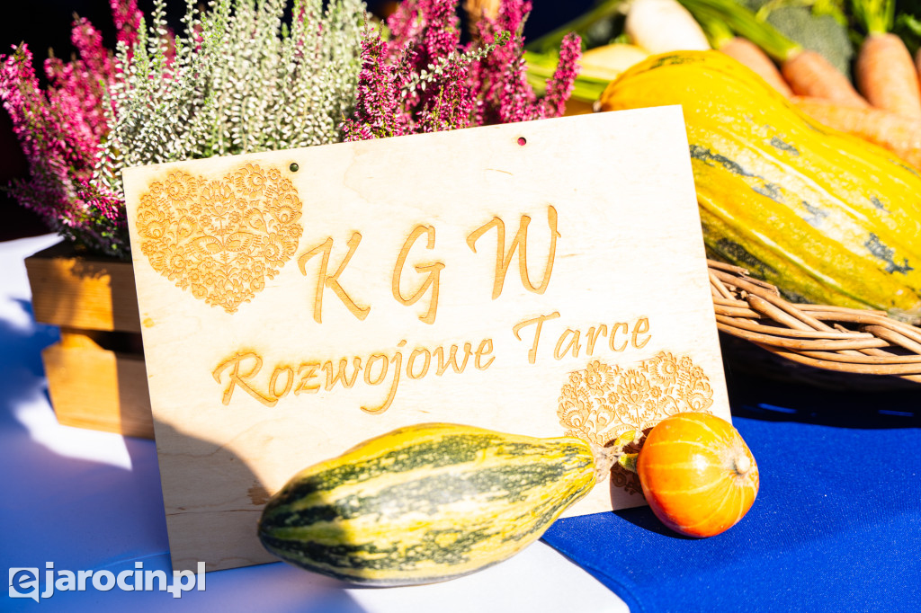 Festiwal Roślin Ogrodowych i Rodzinny Festyn Ekologiczny