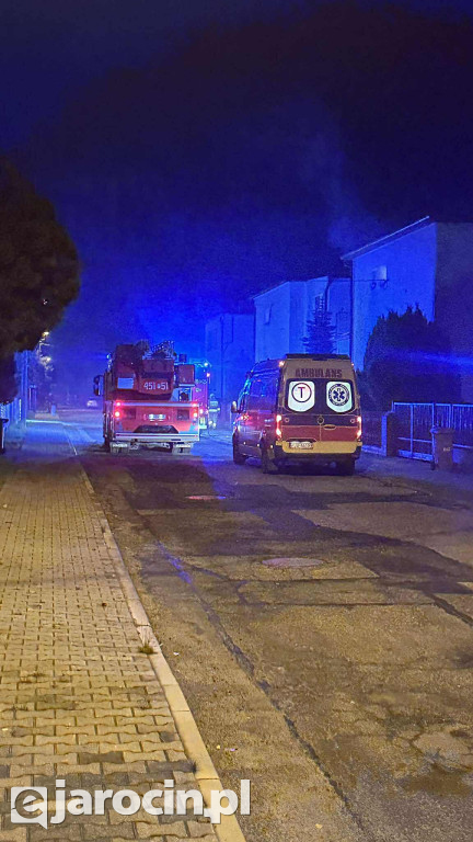 Strażacy walczyli z ogniem w Witaszycach.