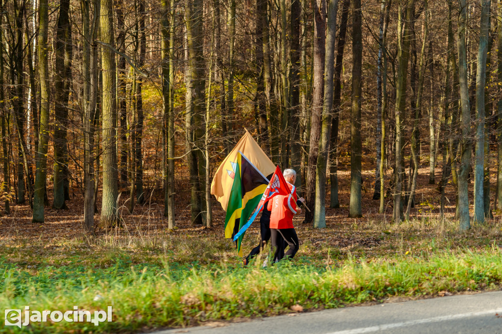 15. Bieg Niepodległościowy