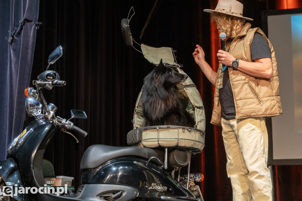 Niedzielne podróże w Jarocinie: muzyczna Jamajka, Tromsø i zorza polarna