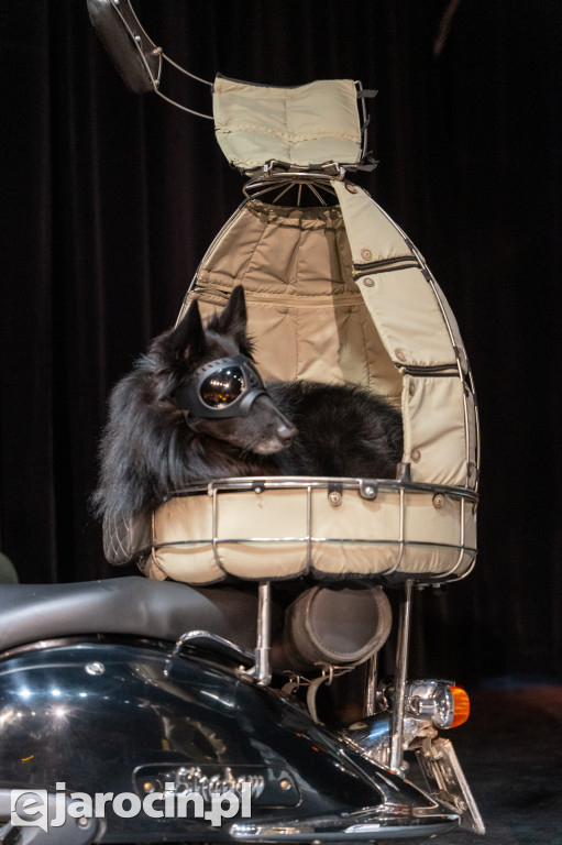 Niedzielne podróże w Jarocinie: muzyczna Jamajka, Tromsø i zorza polarna