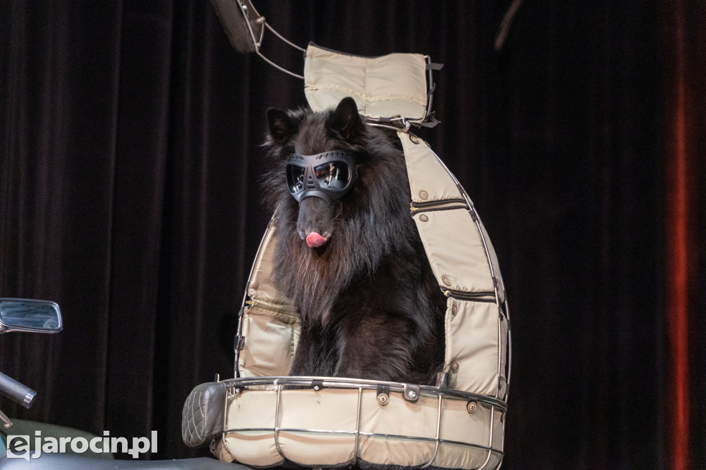 Niedzielne podróże w Jarocinie: muzyczna Jamajka, Tromsø i zorza polarna