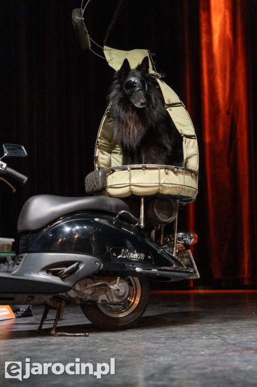 Niedzielne podróże w Jarocinie: muzyczna Jamajka, Tromsø i zorza polarna